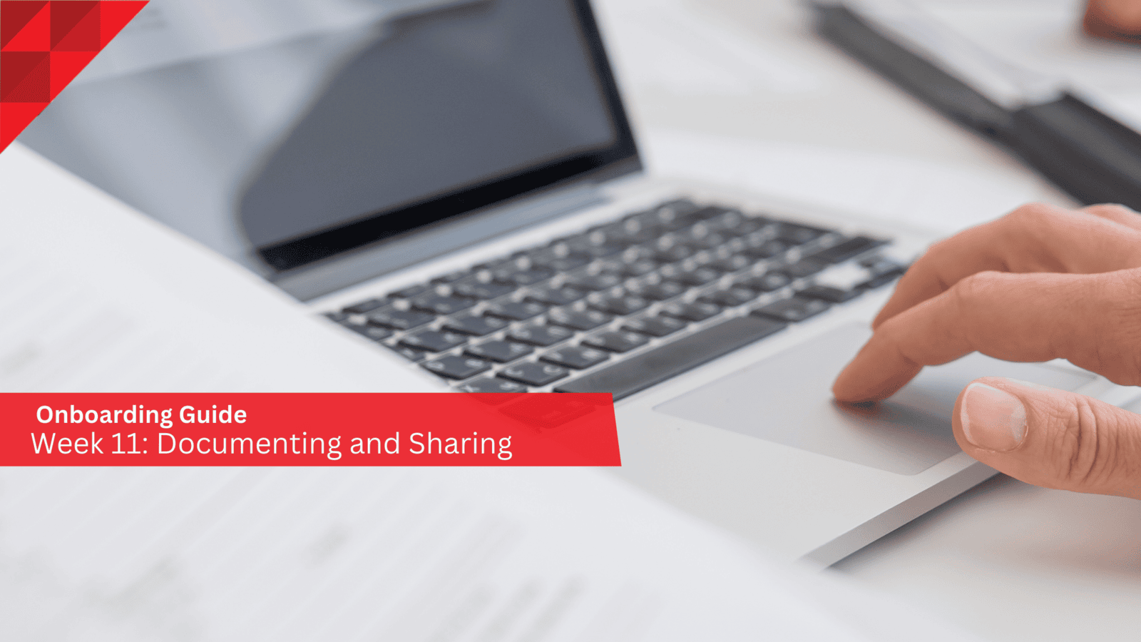 Documenting and Sharing: Week 11 as a Marketing Operations Manager